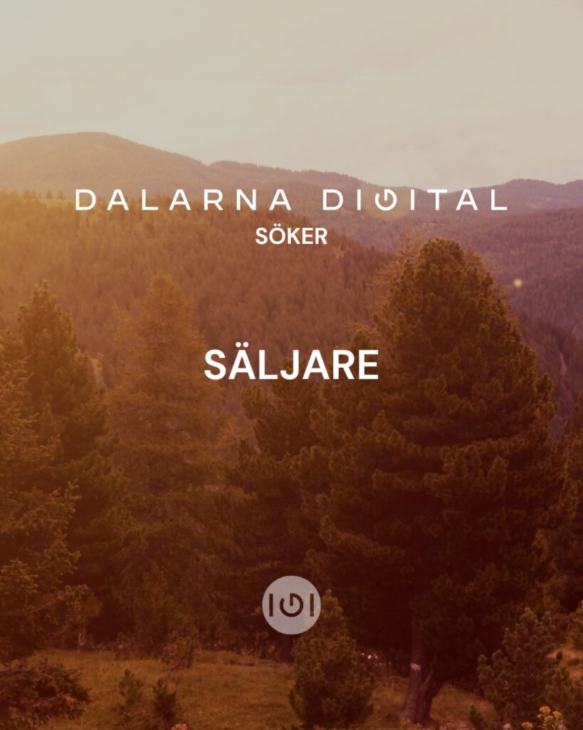 Dalarna Digital söker säljare