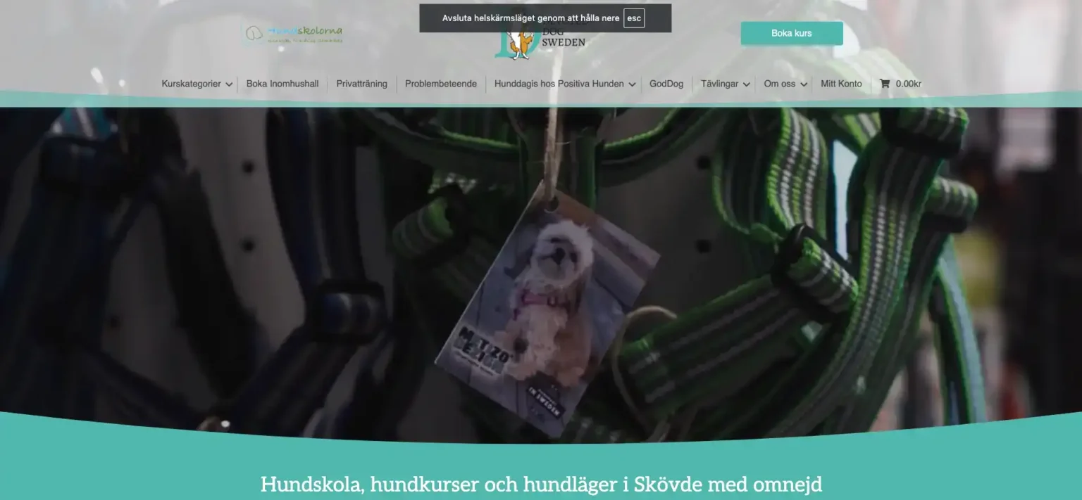 Devoted Dogs webbsida