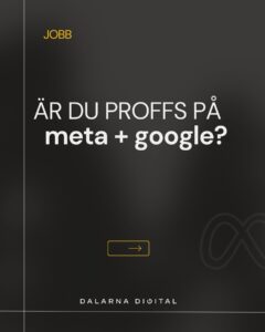 Är du proffs på meta + google?