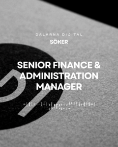 senior ekonom med CFO-erfarenhet