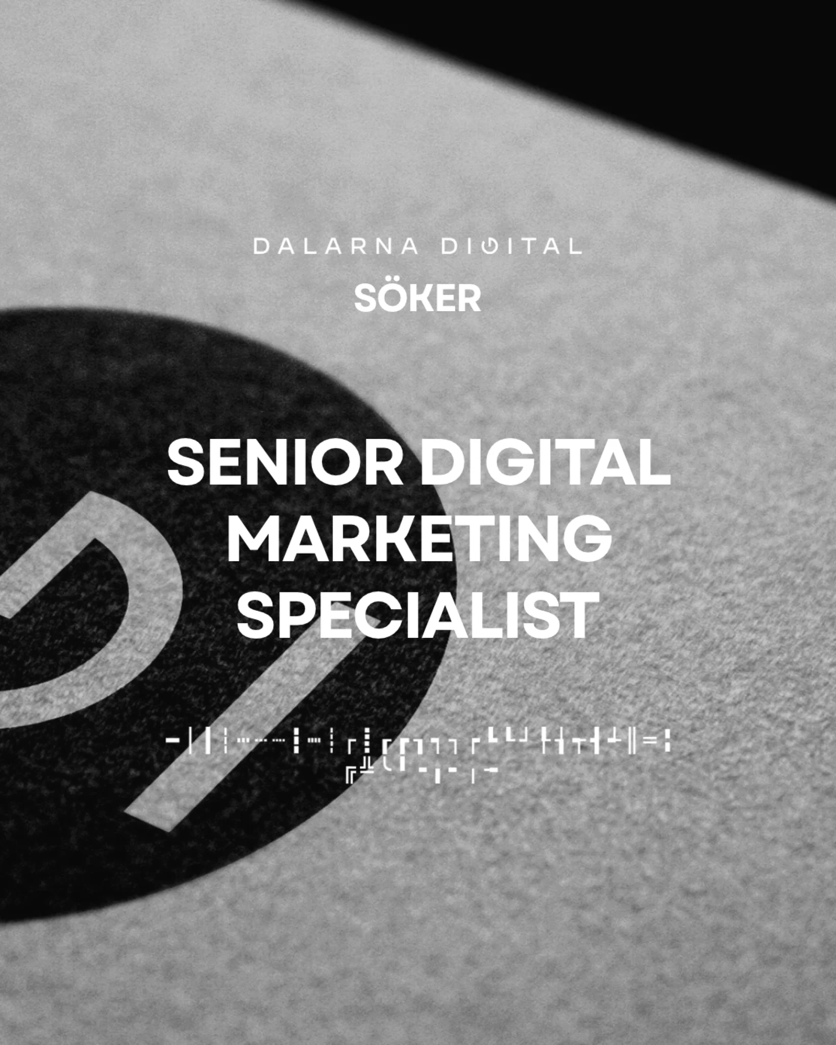 Senio Digital Marketing Specialist